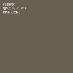 #695F51 - Pine Cone Color Image